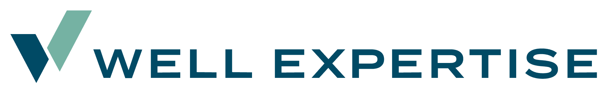 Well Expertise logo